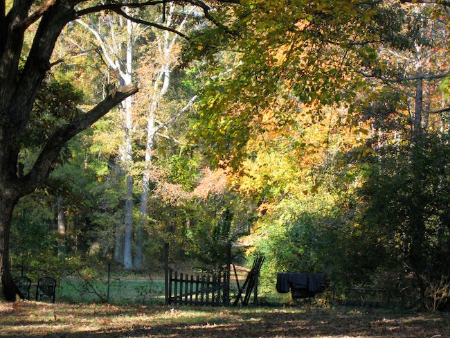 Decorative chapter image of an old field and fence in Virginia.