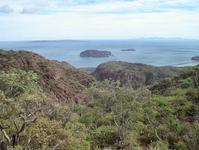 Decorative chapter image showing the Sea of Cortez near Loreto Baja California Sur.