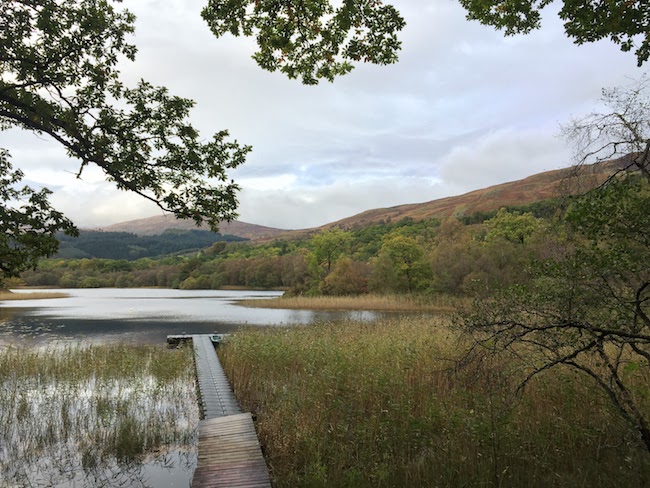 Decorative chapter image showing a wetland and lake with a dock near Loch Lamond in Scotland.